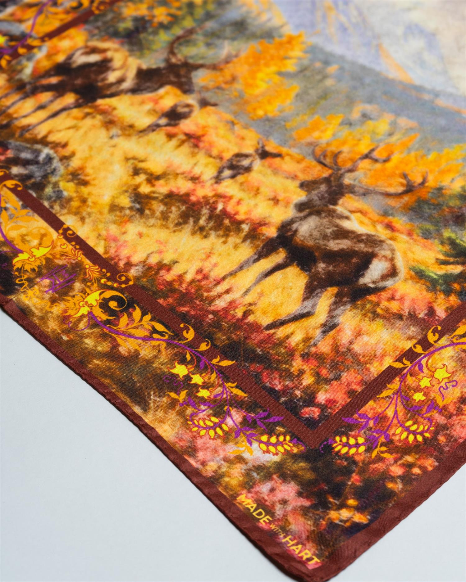 Lommetørkle - Skogens konge